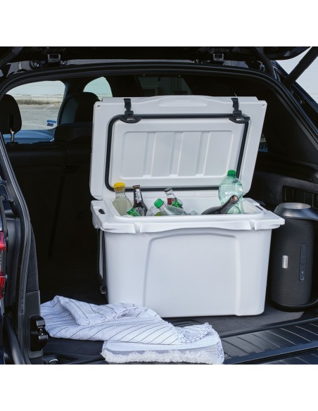 Borsa frigo San Francisco 35L rPE,  con placca metallica