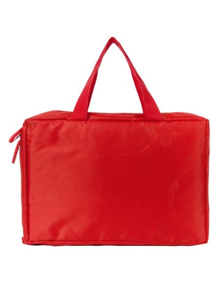 Kit di primo soccorso Premium Graid
