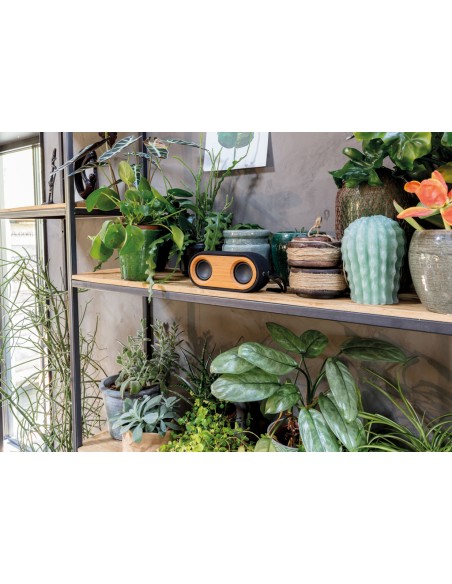 Doppio speaker Bamboo X