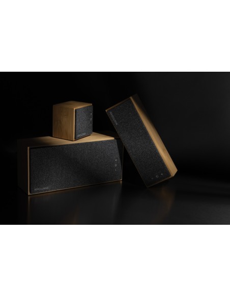 Speaker wireless 5W Wynn in bambù