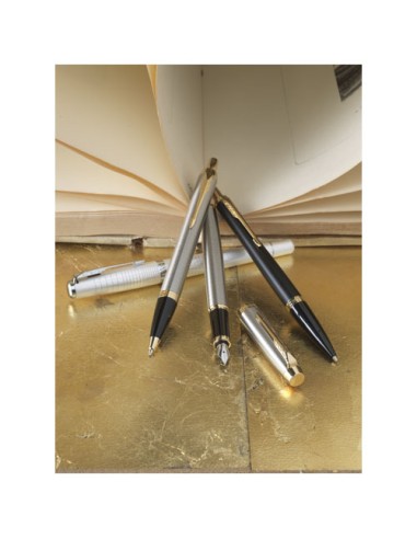 Parker penna stilografica IM (inchiostro blu)