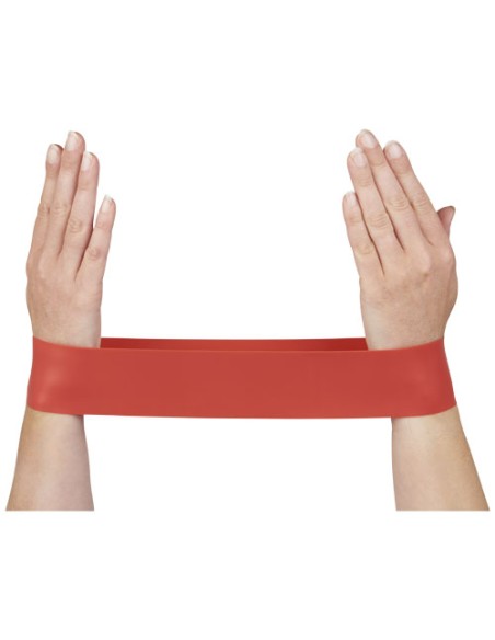 Set fasce elastiche per fitness Crane