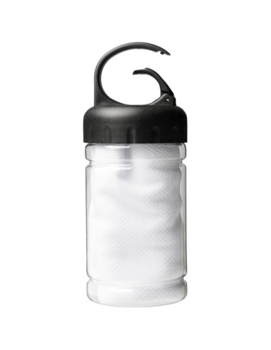 Asciugamano rinfrescante in contenitore PET Remy