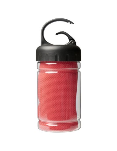 Asciugamano rinfrescante in contenitore PET Remy