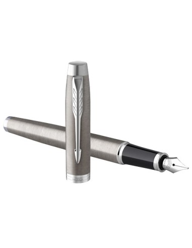 Parker penna stilografica IM (inchiostro blu)