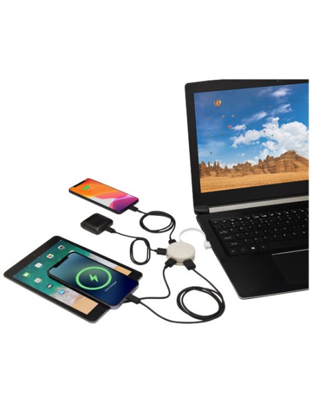 Hub USB in paglia di grano Kenzu