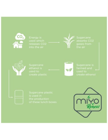 Portavivande a doppio strato MIYO Renew da 700 + 700 ml