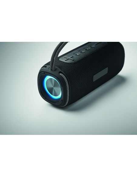 2x10 Speaker impermeabile 2x10 Speaker impermeabile