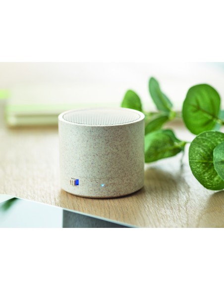 Speaker wireless in paglia Speaker wireless in paglia