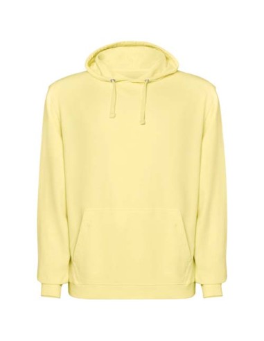 Felpa con cappuccio unisex da 250 g/m² Kenia
