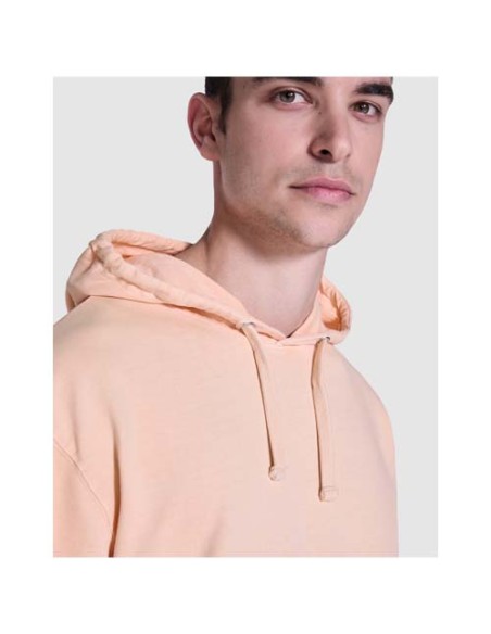 Felpa con cappuccio unisex da 250 g/m² Kenia