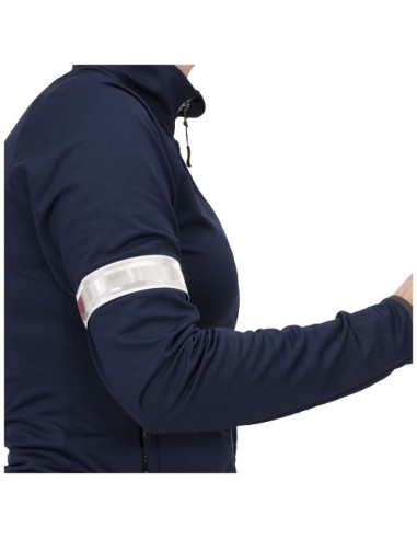 Fascia riflettente a LED