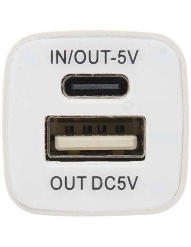 Power bank WS102 da 2200/2600 mAh