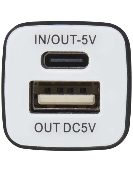 Power bank WS102 da 2200/2600 mAh