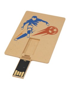 USB carta di credito con scocca biodegradabile