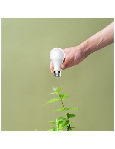 Lampadina Wi-Fi BW10 Prixton