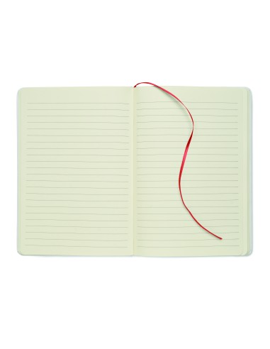 Notebook A5 rivelatore di color