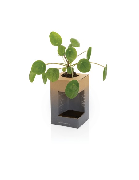 Tazza Avira Alya in acciaio riciclato RCS 300ML