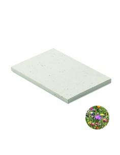 Notebook A5 in carta da semi