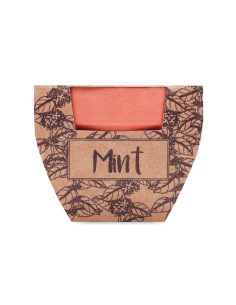 Semi di menta in vaso