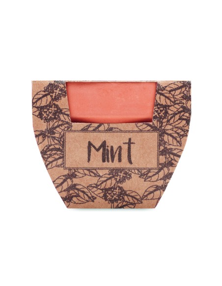 Semi di menta in vaso