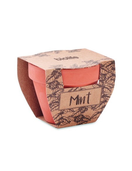 Semi di menta in vaso