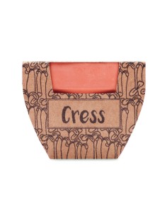 Semi di crescione in vaso