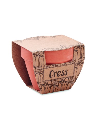 Semi di crescione in vaso