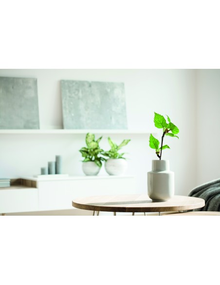 Notebook in betulla A5