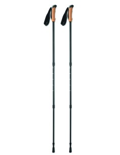 Bastoncini da nordic walking