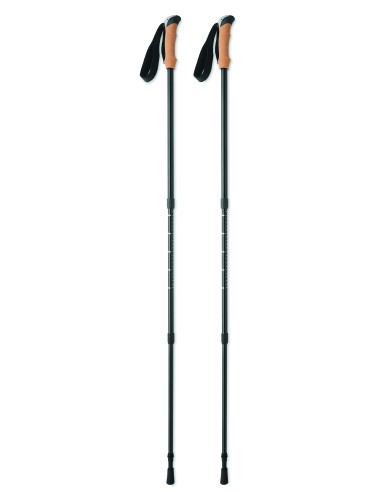 Bastoncini da nordic walking