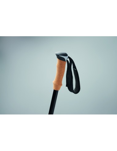 Bastoncini da nordic walking