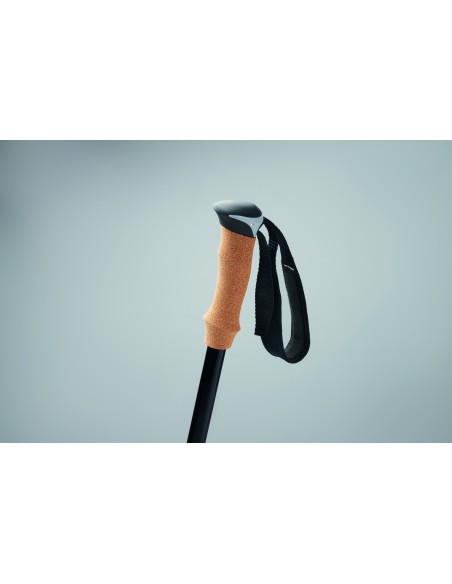 Bastoncini da nordic walking