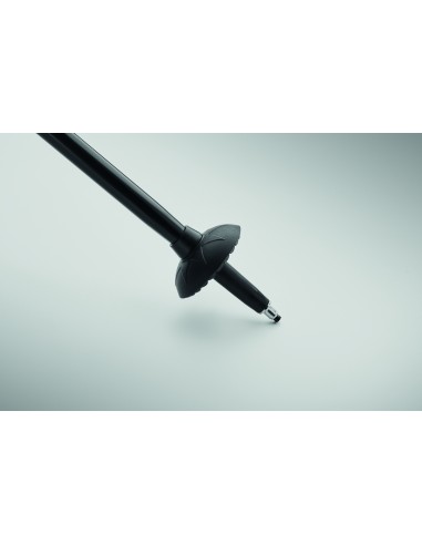 Bastoncini da nordic walking