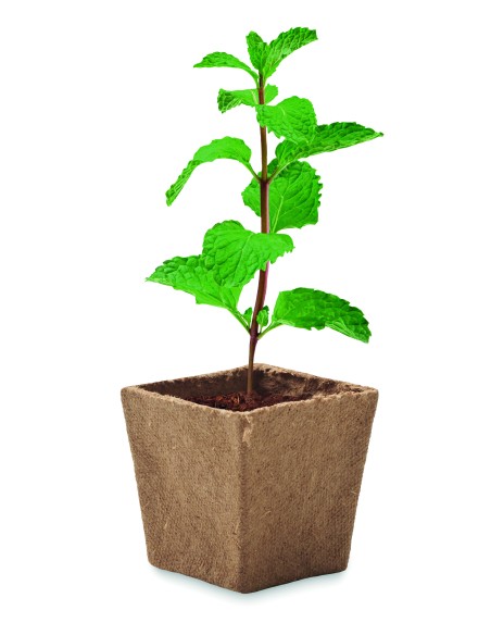 Kit per la coltivazione di semi