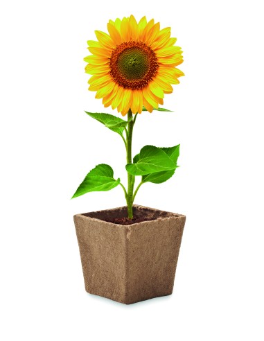 Kit per la coltivazione di semi