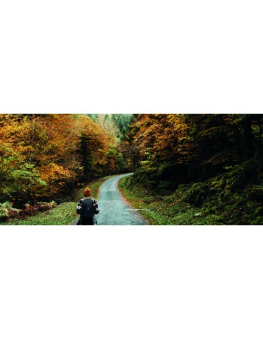 Zaino porta computer 300D RPET