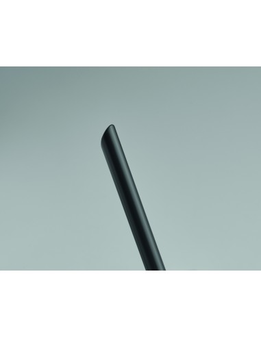 Penna senza inchiostro di lunga