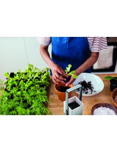 Giardino interno con luce LED