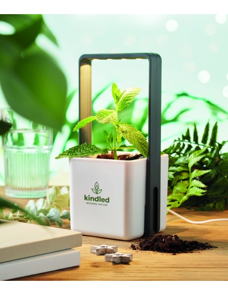 Giardino interno con luce LED