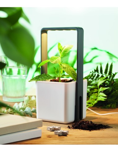 Giardino interno con luce LED