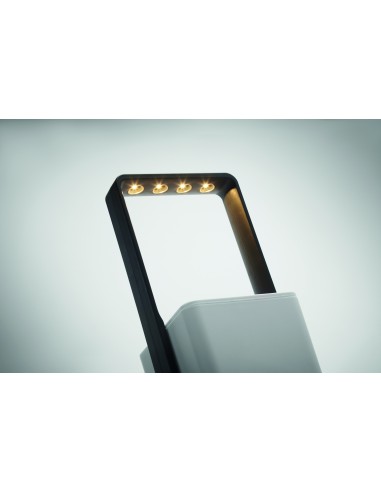 Giardino interno con luce LED