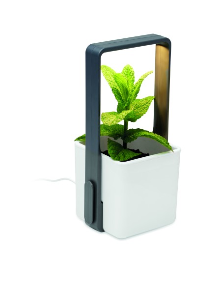 Giardino interno con luce LED