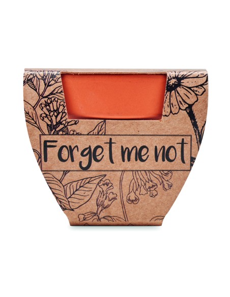 Semi di non ti scordar di me