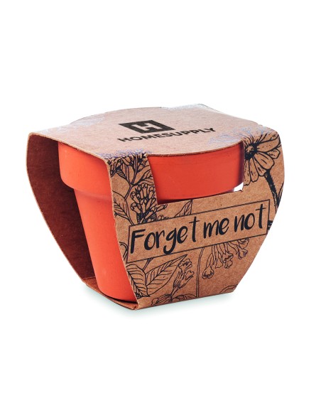 Semi di non ti scordar di me