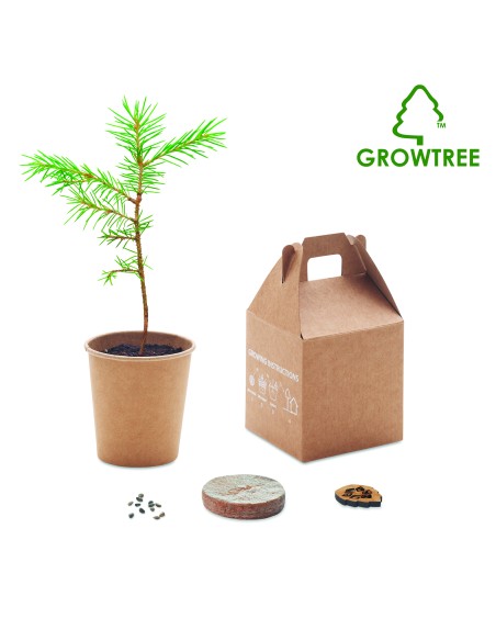 Set in legno di pino