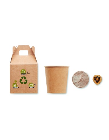 Set in legno di pino