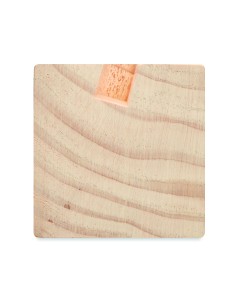 Stand scrivania con kit di semi