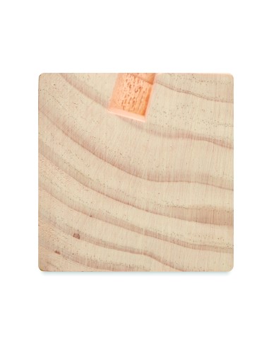 Stand scrivania con kit di semi