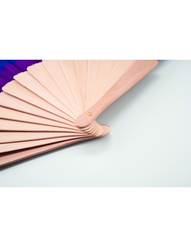 Ventaglio in legno arcobaleno